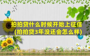 拍拍贷什么时候开始上征信(拍拍贷3年没还会怎么样)