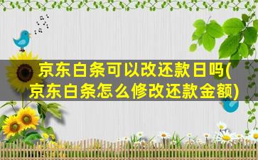 京东白条可以改还款日吗(京东白条怎么修改还款金额)