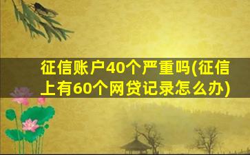 征信账户40个严重吗(征信上有60个网贷记录怎么办)