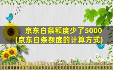 京东白条额度少了5000(京东白条额度的计算方式)