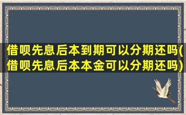 借呗先息后本到期可以分期还吗(借呗先息后本本金可以分期还吗)