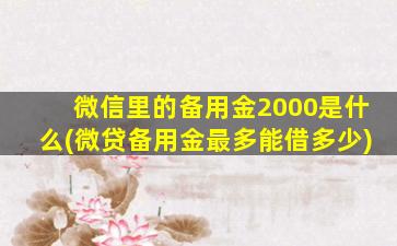 微信里的备用金2000是什么(微贷备用金最多能借多少)