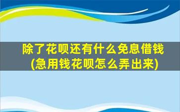 除了花呗还有什么免息借钱(急用钱花呗怎么弄出来)