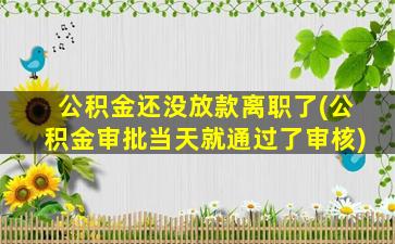 公积金还没放款离职了(公积金审批当天就通过了审核)