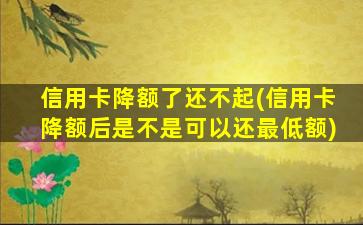 信用卡降额了还不起(信用卡降额后是不是可以还最低额)