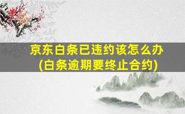 京东白条已违约该怎么办(白条逾期要终止合约)