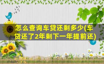 怎么查询车贷还剩多少(车贷还了2年剩下一年提前还)