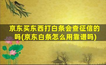 京东买东西打白条会查征信的吗(京东白条怎么用靠谱吗)