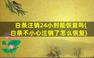 白条注销24小时能恢复吗(白条不小心注销了怎么恢复)