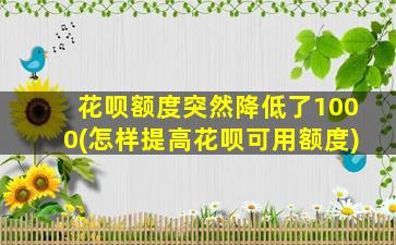 花呗额度突然降低了1000(怎样提高花呗可用额度)