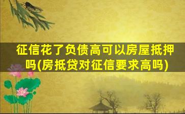 征信花了负债高可以房屋抵押吗(房抵贷对征信要求高吗)