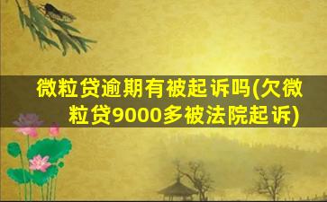 微粒贷逾期有被起诉吗(欠微粒贷9000多被法院起诉)