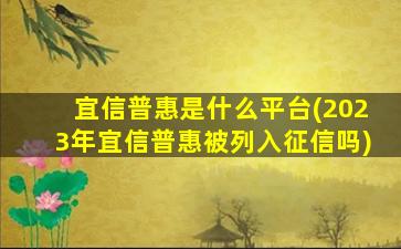 宜信普惠是什么平台(2023年宜信普惠被列入征信吗)