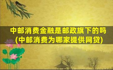 中邮消费金融是邮政旗下的吗(中邮消费为哪家提供网贷)