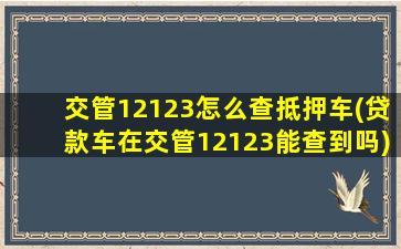 交管12123怎么查抵押车(贷款车在交管12123能查到吗)