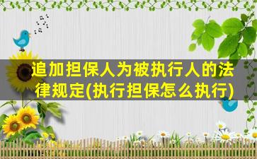 追加担保人为被执行人的法律规定(执行担保怎么执行)