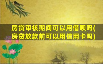 房贷审核期间可以用借呗吗(房贷放款前可以用信用卡吗)