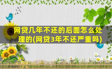 网贷几年不还的后面怎么处理的(网贷3年不还严重吗)