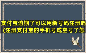 支付宝逾期了可以用新号码注册吗(注册支付宝的手机号成空号了怎么办)