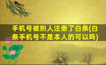 手机号被别人注册了白条(白条手机号不是本人的可以吗)