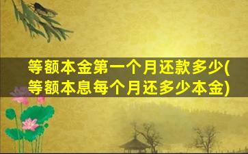 等额本金第一个月还款多少(等额本息每个月还多少本金)