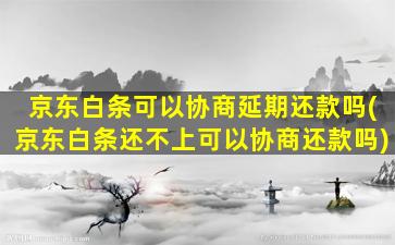 京东白条可以协商延期还款吗(京东白条还不上可以协商还款吗)