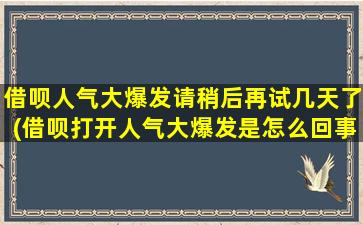 借呗人气大爆发请稍后再试几天了(借呗打开人气大爆发是怎么回事儿)