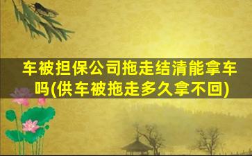 车被担保公司拖走结清能拿车吗(供车被拖走多久拿不回)