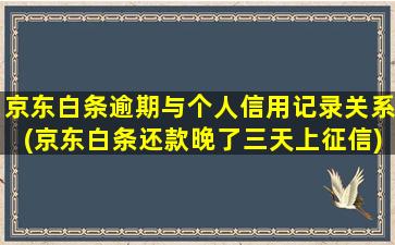 京东白条逾期与个人信用记录关系(京东白条还款晚了三天上征信)