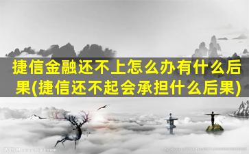 捷信金融还不上怎么办有什么后果(捷信还不起会承担什么后果)