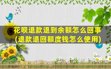 花呗退款退到余额怎么回事(退款退回额度钱怎么使用)