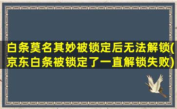 白条莫名其妙被锁定后无法解锁(京东白条被锁定了一直解锁失败)