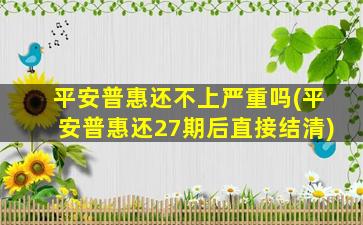 平安普惠还不上严重吗(平安普惠还27期后直接结清)