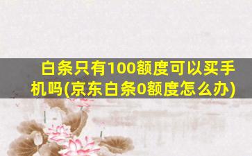 白条只有100额度可以买手机吗(京东白条0额度怎么办)