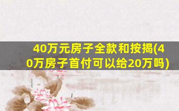 40万元房子全款和按揭(40万房子首付可以给20万吗)