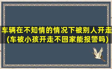 车辆在不知情的情况下被别人开走(车被小孩开走不回家能报警吗)