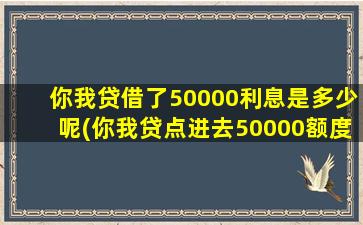 你我贷借了50000利息是多少呢(你我贷点进去50000额度)