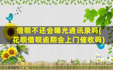 借呗不还会曝光通讯录吗(花呗借呗逾期会上门催收吗)