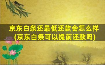 京东白条还最低还款会怎么样(京东白条可以提前还款吗)