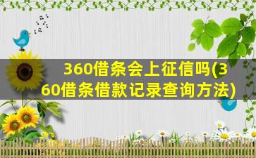 360借条会上征信吗(360借条借款记录查询方法)