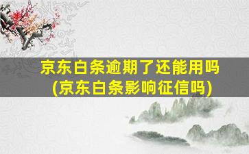 京东白条逾期了还能用吗(京东白条影响征信吗)