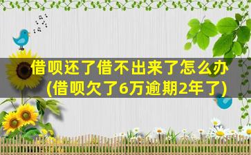 借呗还了借不出来了怎么办(借呗欠了6万逾期2年了)