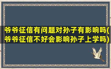 爷爷征信有问题对孙子有影响吗(爷爷征信不好会影响孙子上学吗)