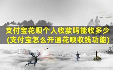 支付宝花呗个人收款吗能收多少(支付宝怎么开通花呗收钱功能)