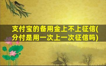 支付宝的备用金上不上征信(分付是用一次上一次征信吗)