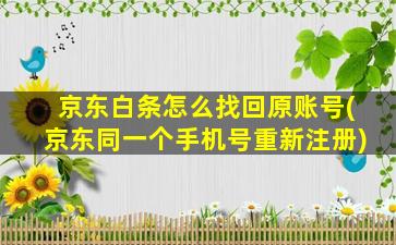 京东白条怎么找回原账号(京东同一个手机号重新注册)