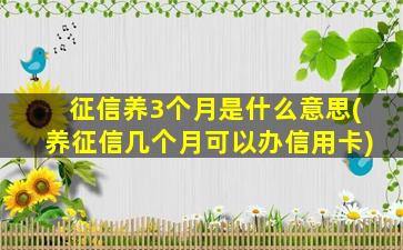 征信养3个月是什么意思(养征信几个月可以办信用卡)