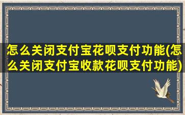 怎么关闭支付宝花呗支付功能(怎么关闭支付宝收款花呗支付功能)