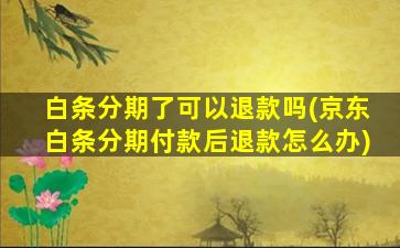 白条分期了可以退款吗(京东白条分期付款后退款怎么办)