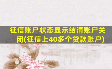 征信账户状态显示结清账户关闭(征信上40多个贷款账户)